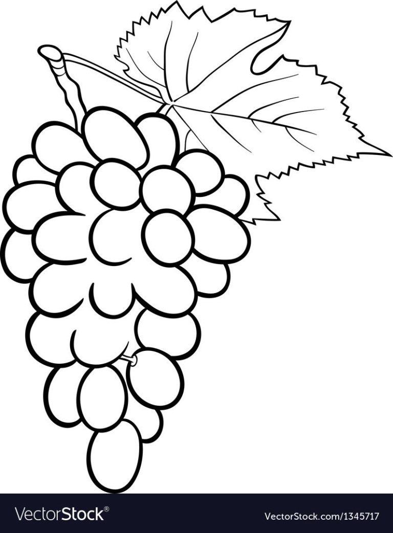 Cute Grapes Coloring Pages