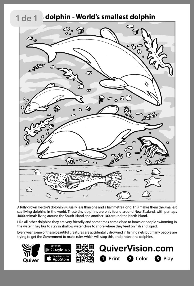 Augmented Reality Quiver Coloring Pages