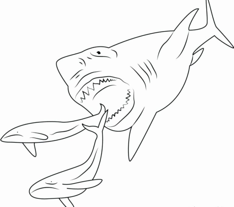 Megalodon Coloring Pages To Print