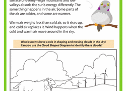 Weather 1st Grade Science Worksheets