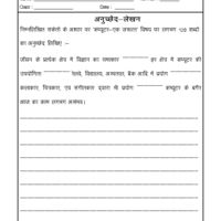 3rd Grade Hindi Comprehension For Class 3