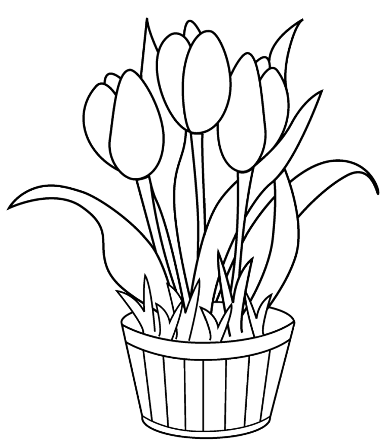 Easy Tulip Coloring Pages