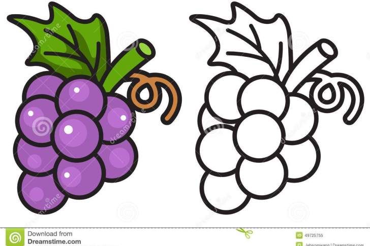 Simple Grapes Coloring Page