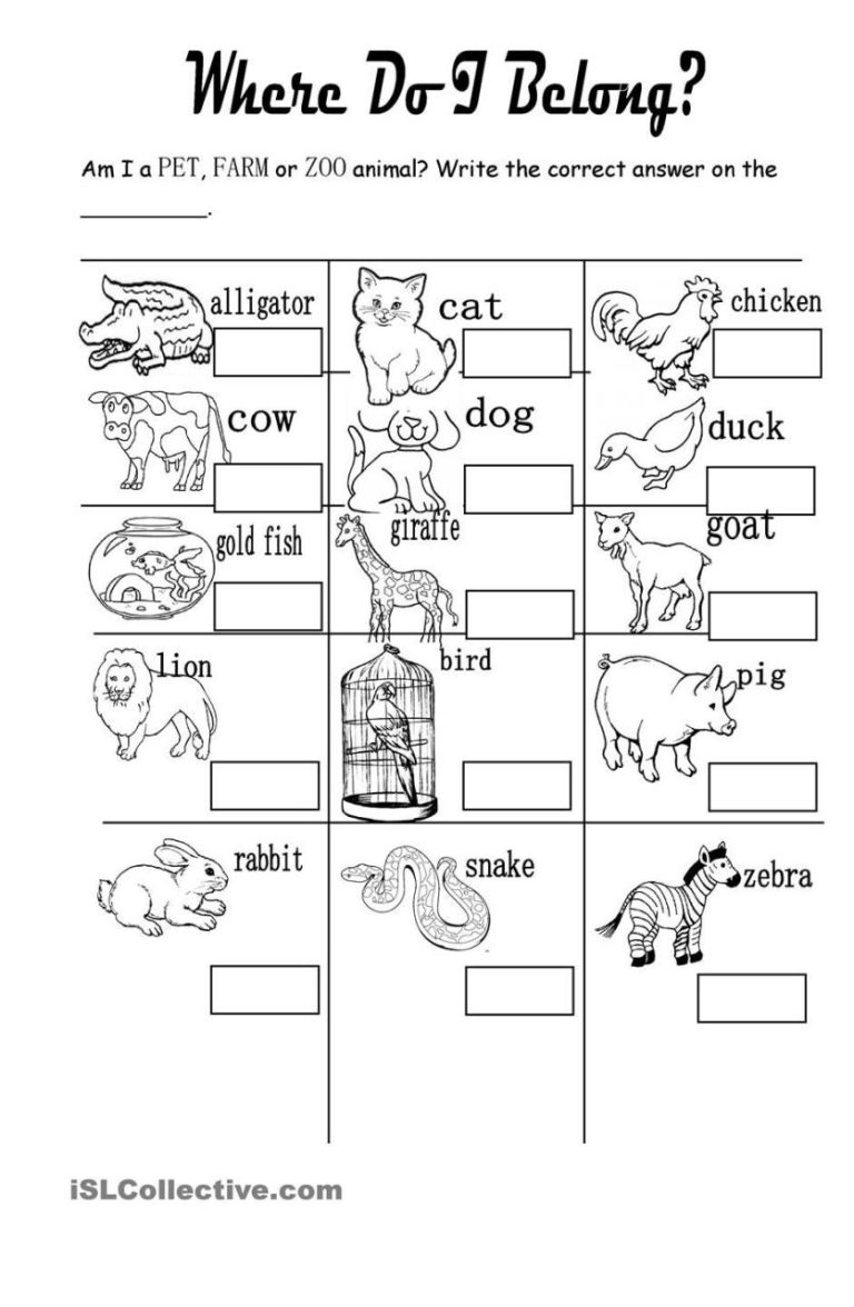 Wild Animals Worksheets For Preschoolers