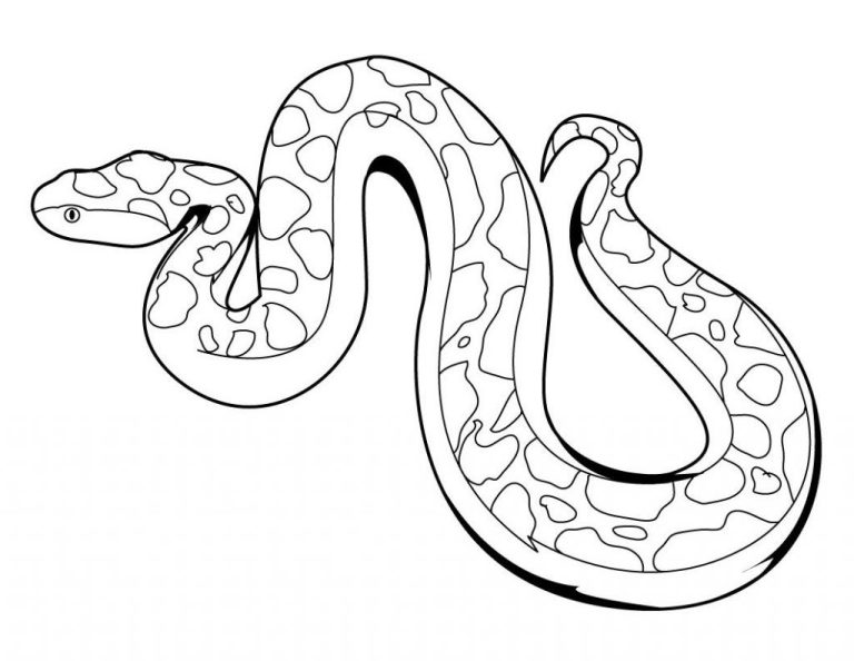 Snake Coloring Pages Realistic