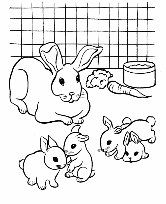 Baby Bunny Pictures To Color