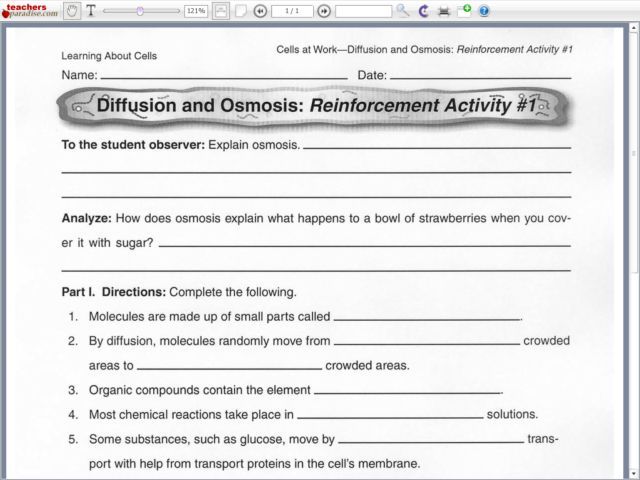 Biology Diffusion And Osmosis Worksheet Answer Key