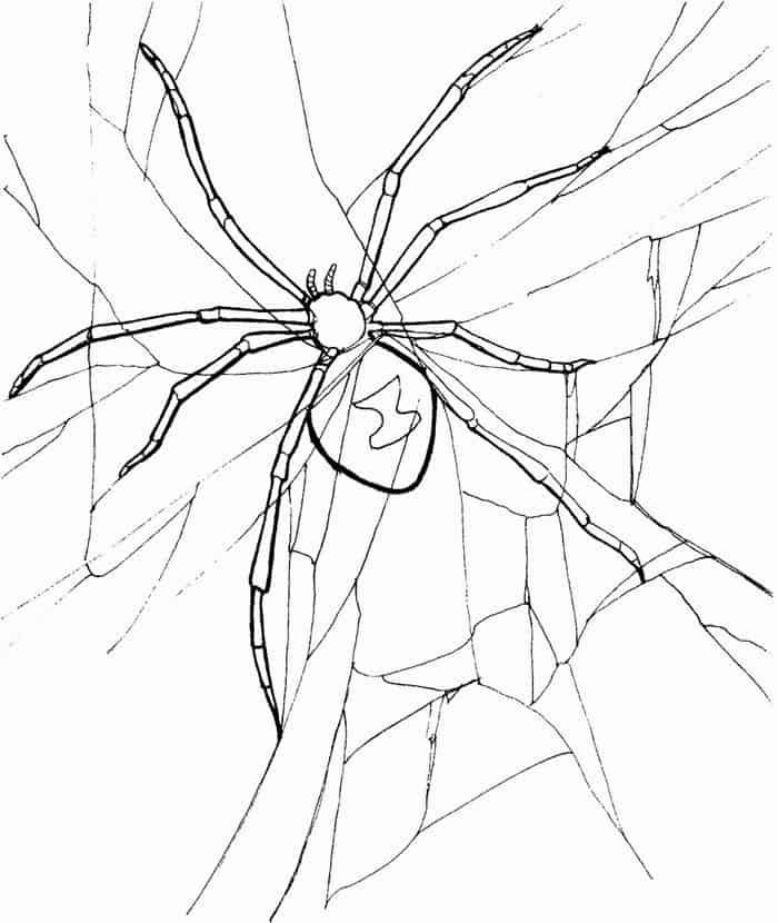 Easy Black Widow Coloring Pages