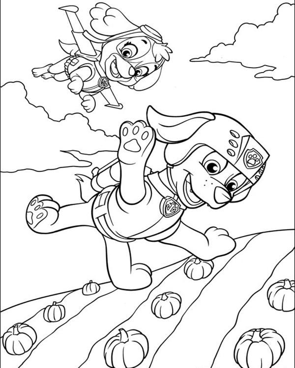 Zuma And Skye Coloring Pages