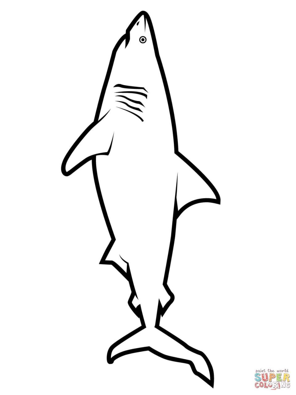 Free Shark Pictures To Color
