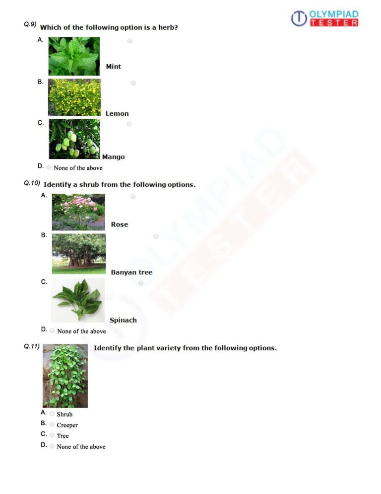 Worksheet For Class 1 Evs Plants