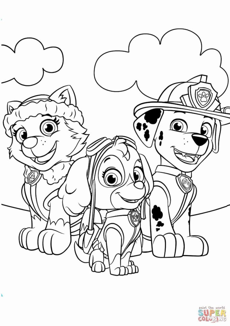Everest And Skye Coloring Pages
