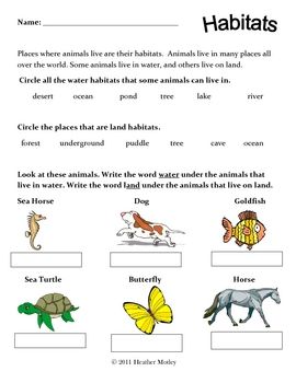 Animals And Their Habitats Worksheet Pdf