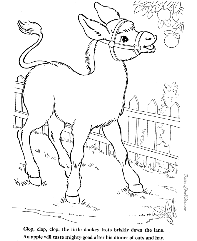 Realistic Donkey Coloring Pages