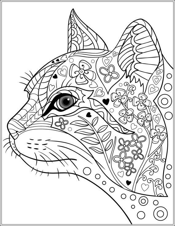Detailed Cat And Dog Coloring Pages