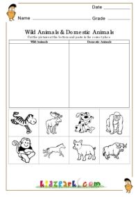 Domestic Animals Worksheet For Kids