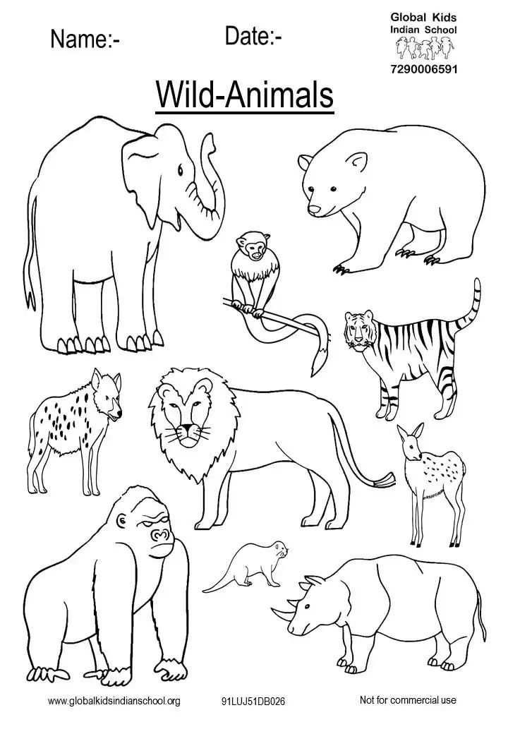 Printable Wild Animals Worksheets For Kindergarten