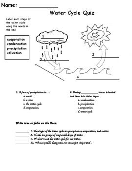 2nd Grade Water Cycle Worksheet For Kids