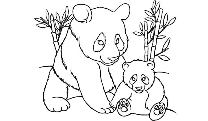 Panda Coloring Picture