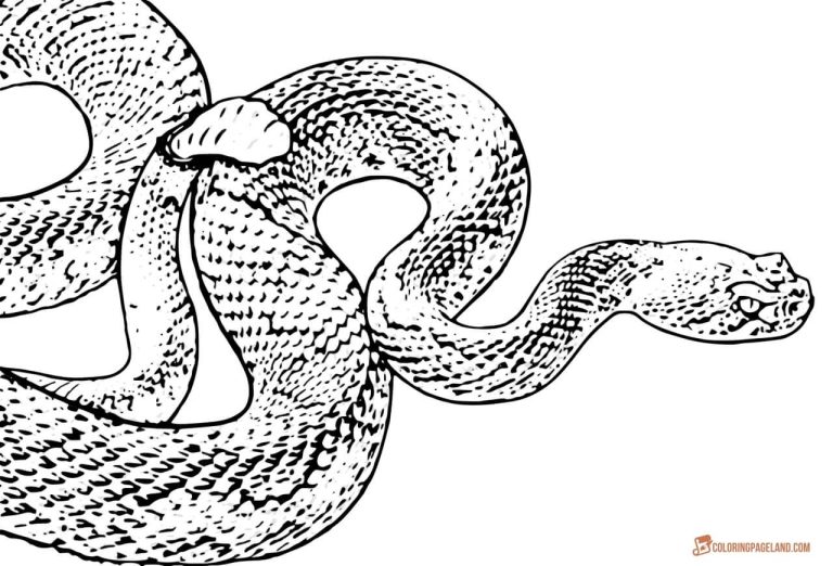 Snake Coloring Pages For Kids