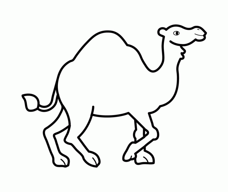 Cartoon Camel Coloring Page