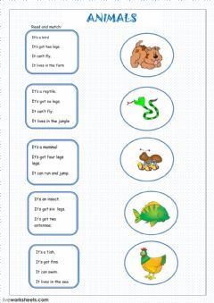 Second Grade Animals Worksheets For Grade 2