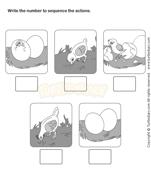 Story Sequencing Worksheets For Kids