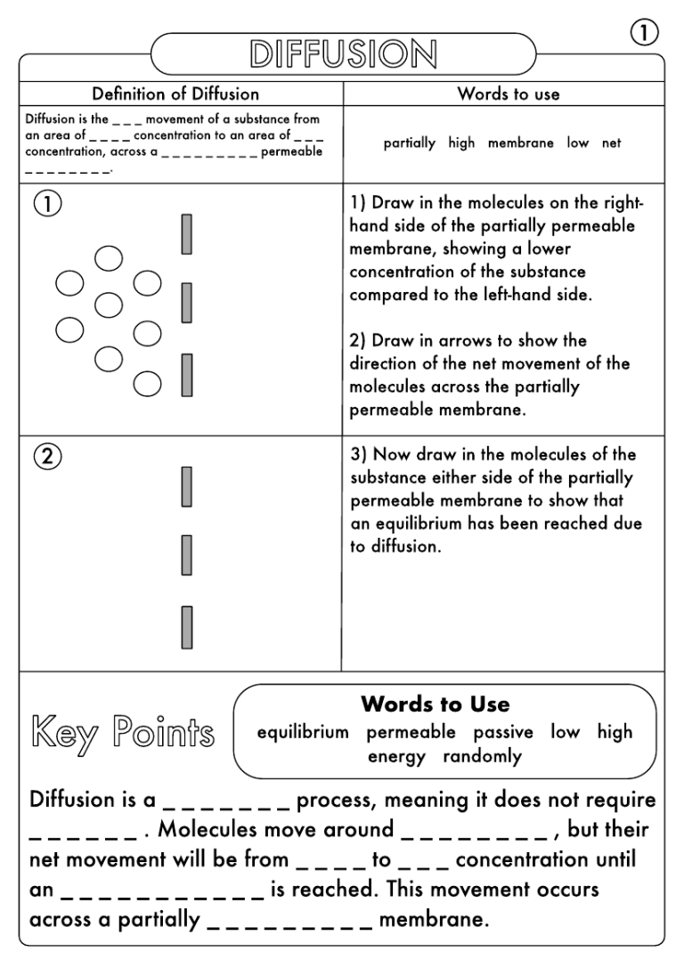 Worksheet Passive Transport Diffusion And Osmosis Answer Key