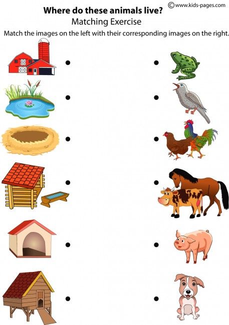 Matching Animals Worksheet For Grade 1