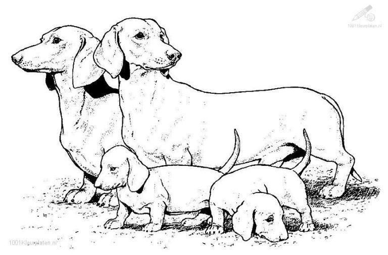 Realistic Coloring Pages Of Puppies