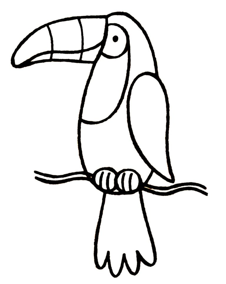 Baby Toucan Coloring Page