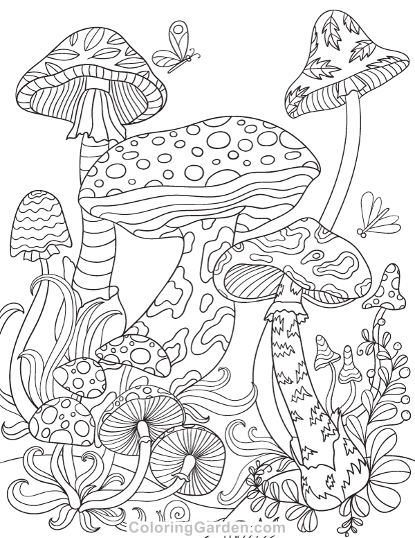 Mushroom Coloring Pages Trippy