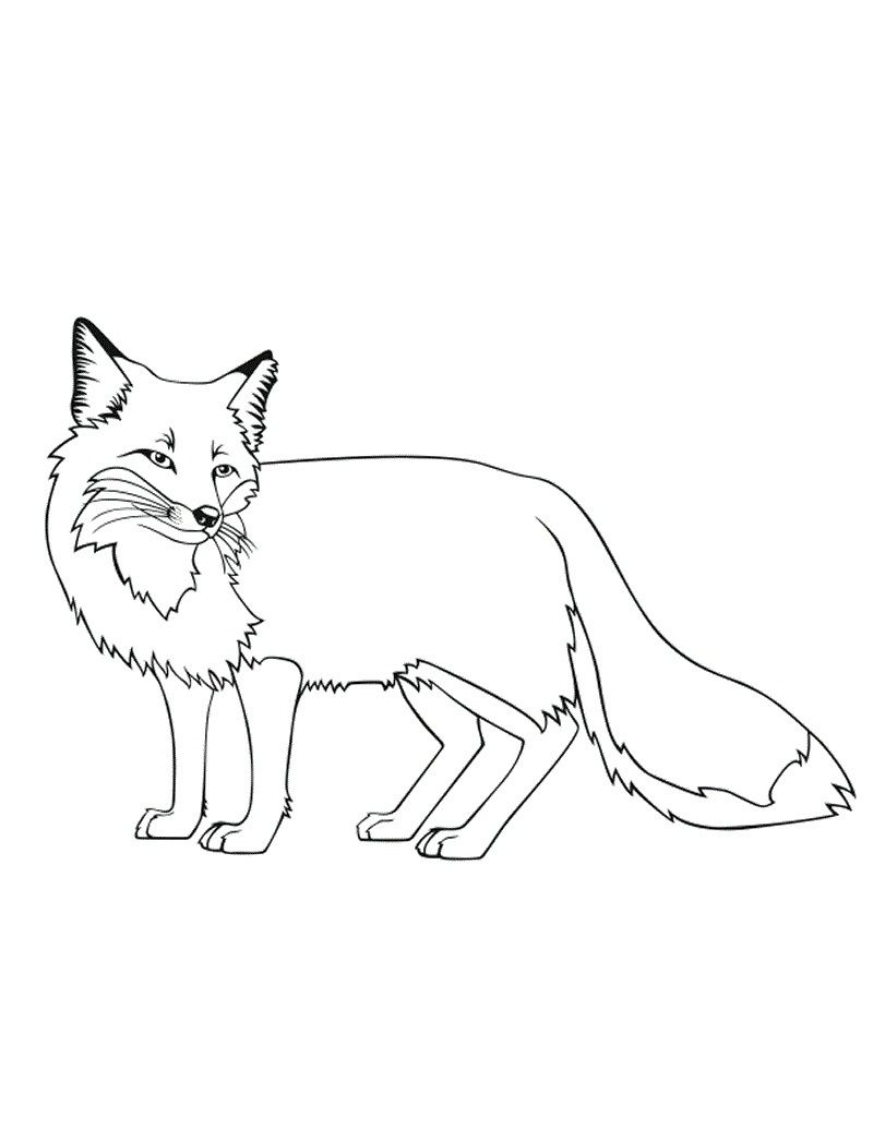 Free Fox Pictures To Color
