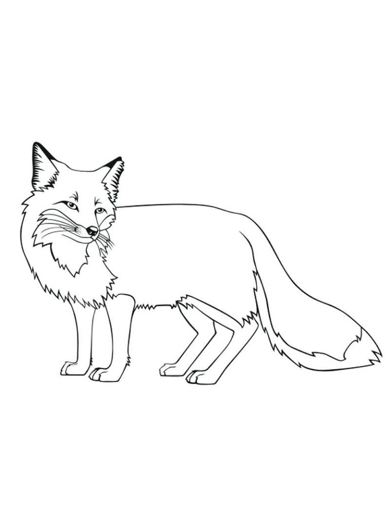 Printable Fox Pictures To Color