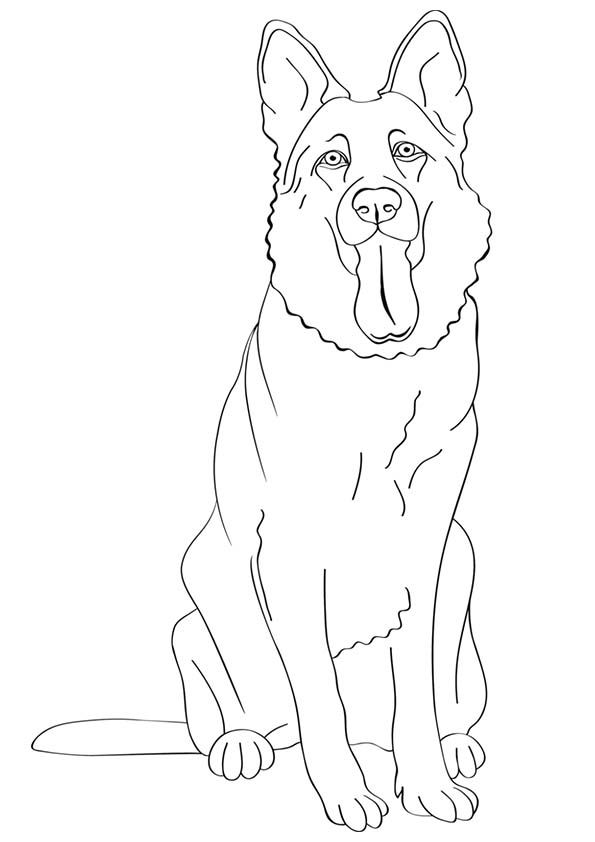 German Shepherd Coloring Pages Of Dogs