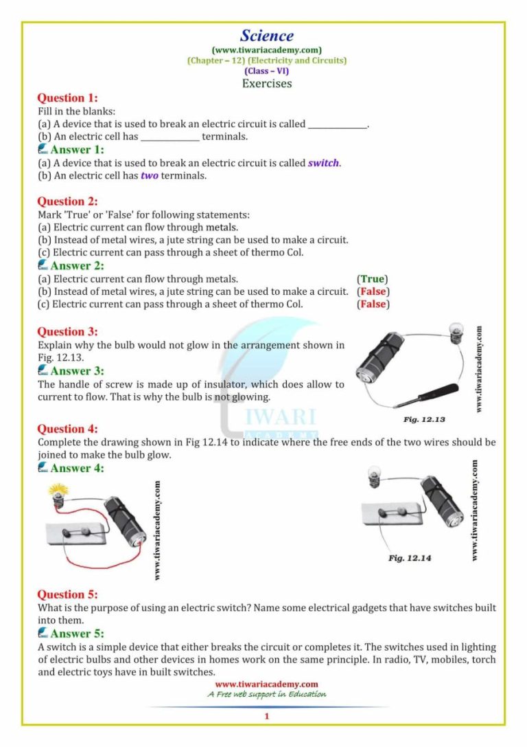 Ncert Class 6 Science Chapter 1 Worksheets