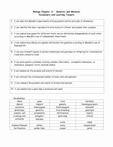 Grade 8 Physical And Chemical Changes Worksheet Answers Pdf