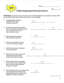 Answer Key Cellular Respiration Overview Worksheet