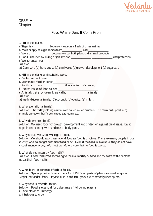 2nd Grade Contractions Worksheet Pdf