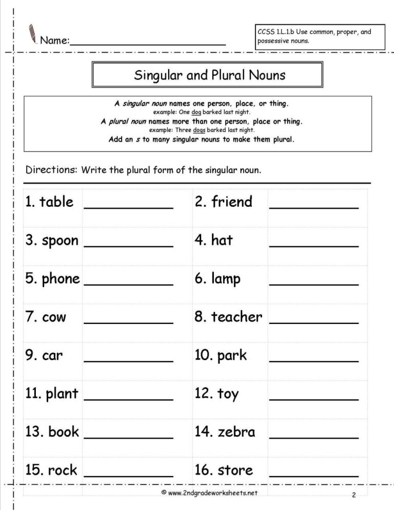 5th Grade Singular And Plural Nouns Worksheets With Answer Key Pdf