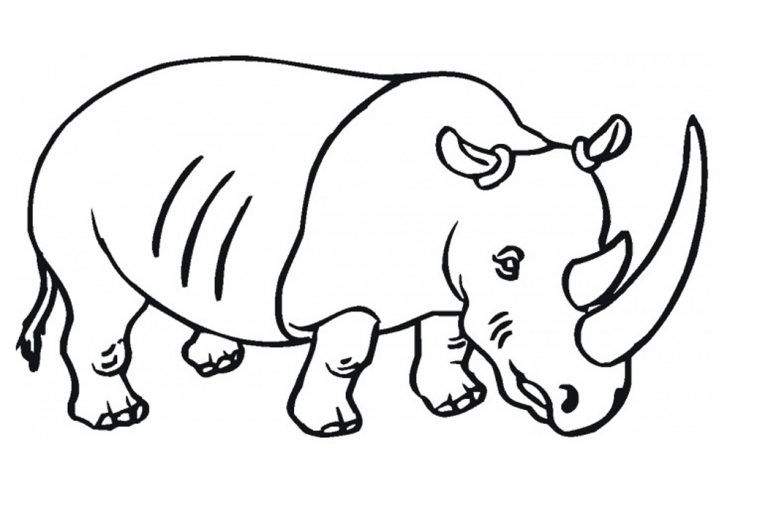 Rhino Coloring Page Printable