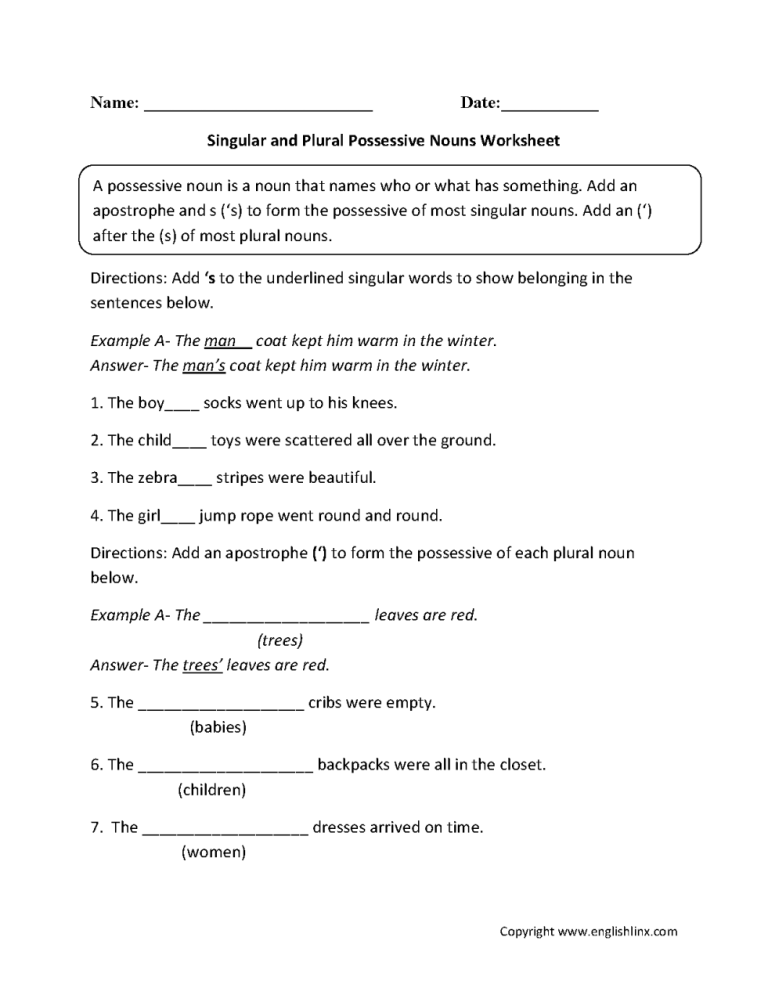 5th Grade Singular And Plural Nouns Worksheet Grade 6