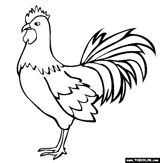 Easy Rooster Coloring Page
