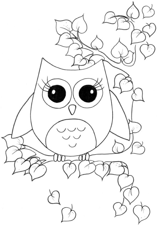 Baby Owl Pictures To Color