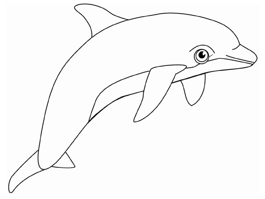 Dolphin Coloring Images