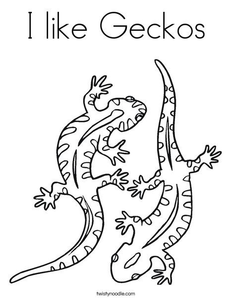 Cute Gecko Coloring Page