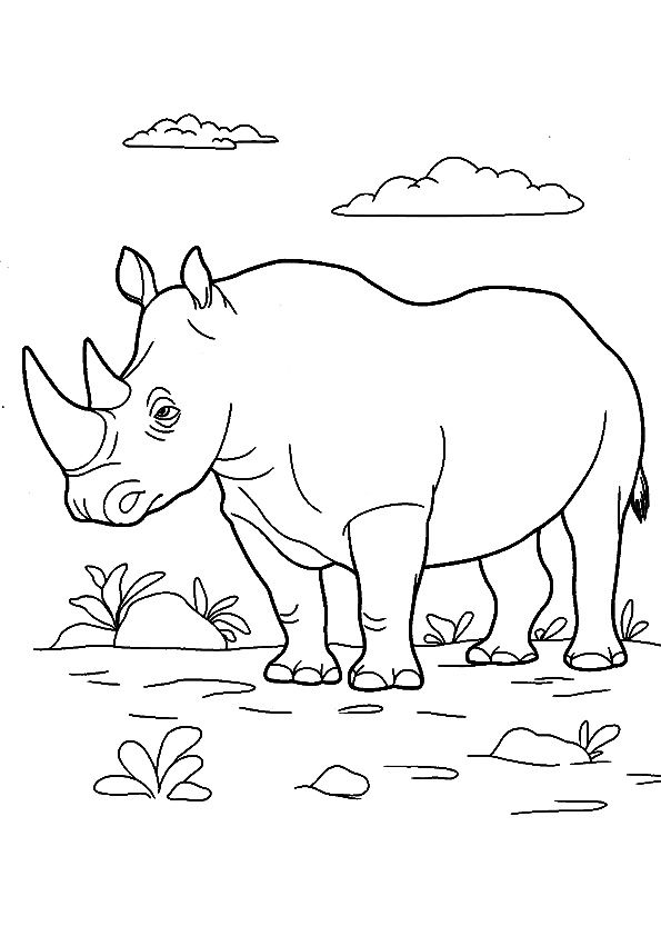 Woolly Rhino Coloring Pages