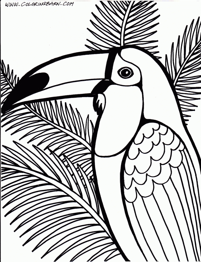 Free Printable Toucan Coloring Pages