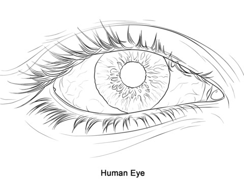Realistic Eye Coloring Page