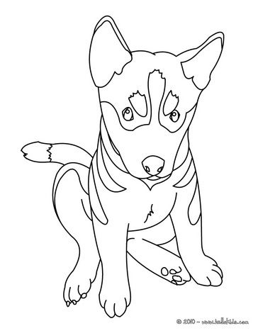 Puppy German Shepherd Coloring Pages